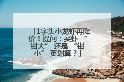 1字头小龙虾再降价！提问：买虾 “钳大” 还是 “钳小” 更划算？