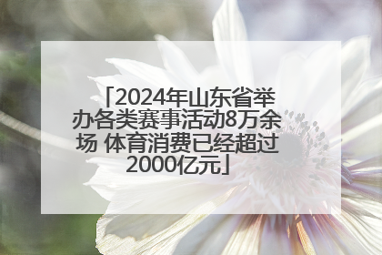 2024年山东省举办各类赛事活动8万余场 体育消费已经超过2000亿元