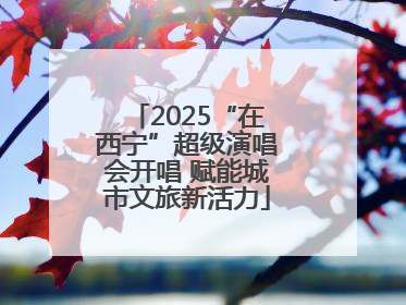 2025“在西宁”超级演唱会开唱 赋能城市文旅新活力