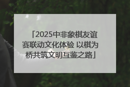 2025中非象棋友谊赛联动文化体验 以棋为桥共筑文明互鉴之路