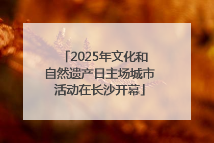 2025年文化和自然遗产日主场城市活动在长沙开幕
