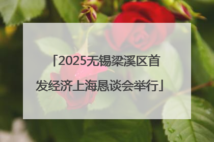 2025无锡梁溪区首发经济上海恳谈会举行