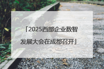 2025西部企业数智发展大会在成都召开
