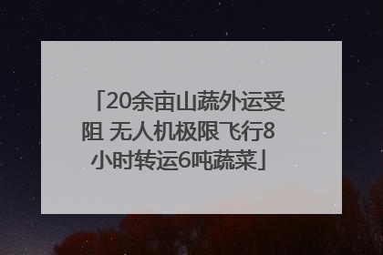 20余亩山蔬外运受阻 无人机极限飞行8小时转运6吨蔬菜