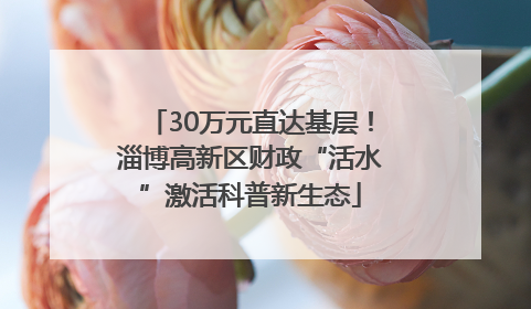 30万元直达基层！淄博高新区财政“活水”激活科普新生态