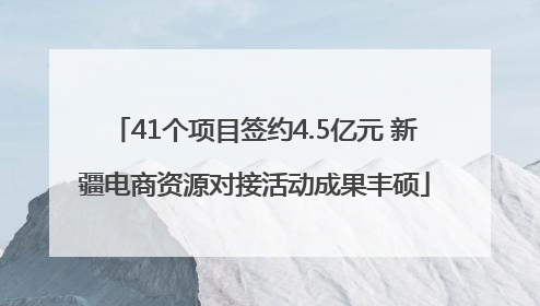 41个项目签约4.5亿元 新疆电商资源对接活动成果丰硕