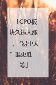 CPO板块久违大涨，“易中天”谁更胜一筹