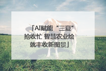 AI赋能“三夏”抢收忙 智慧农业绘就丰收新图景