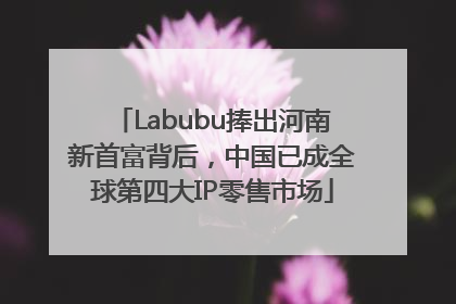 Labubu捧出河南新首富背后，中国已成全球第四大IP零售市场
